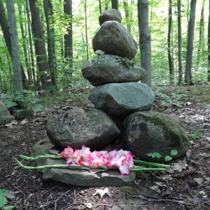 Vic's cairn in the forest