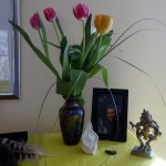 May tulips for my altar